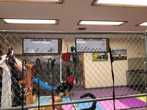 Mission Mountain Pet Service Inc.: 11 7th Ave W, Polson, MT 59860